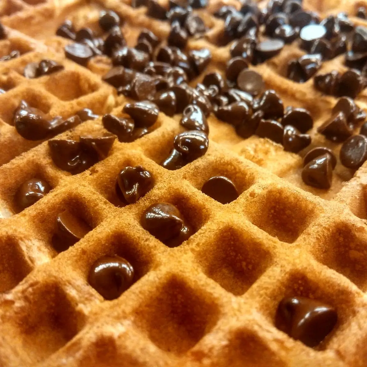 Chocolate Chip Waffle