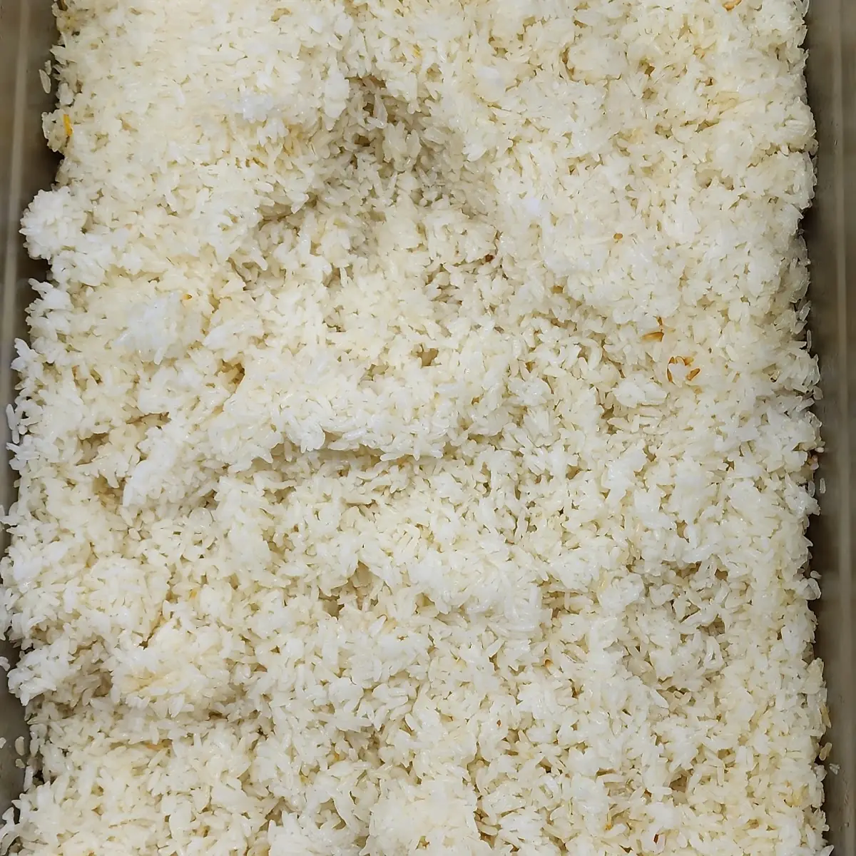White Rice