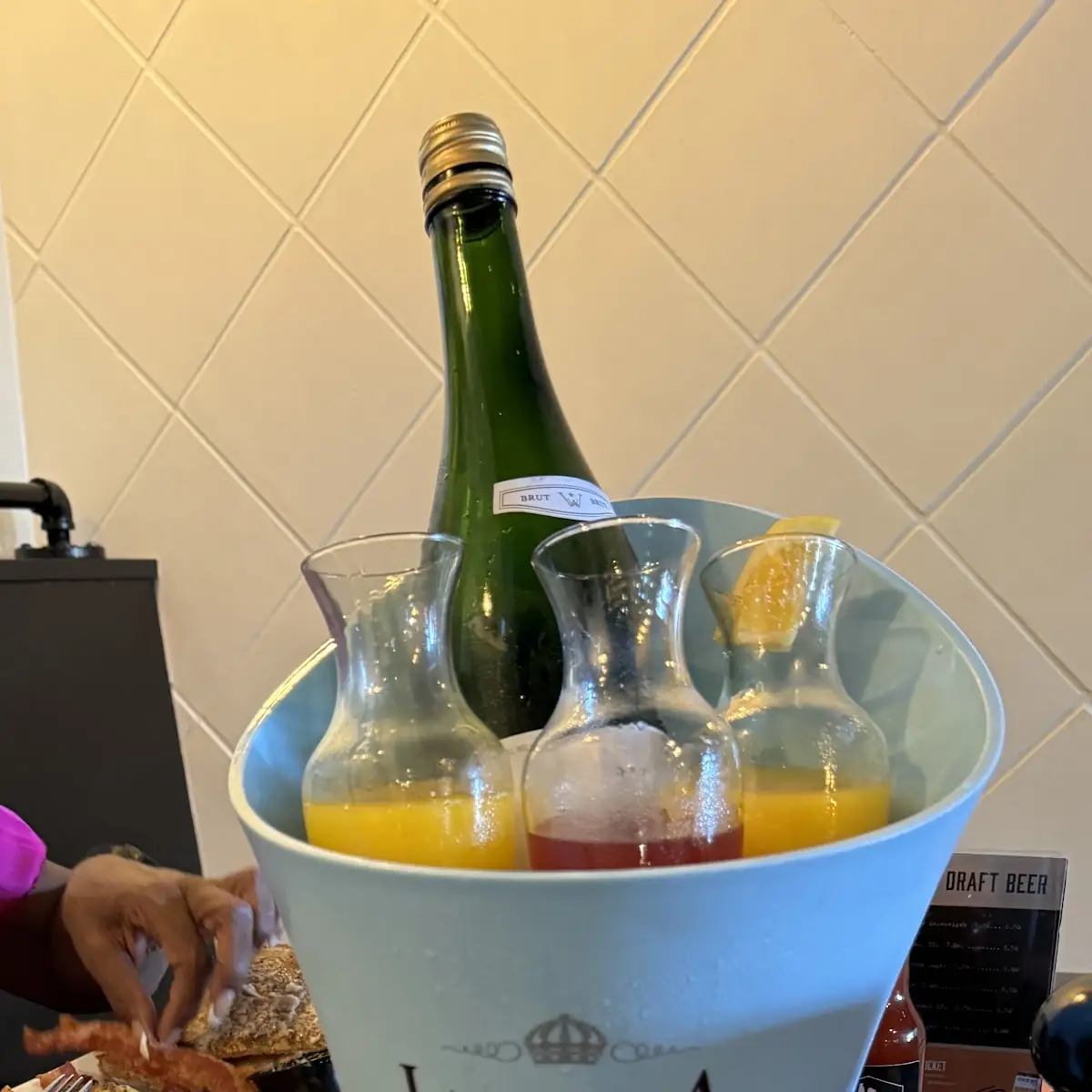 Mimosa Flight