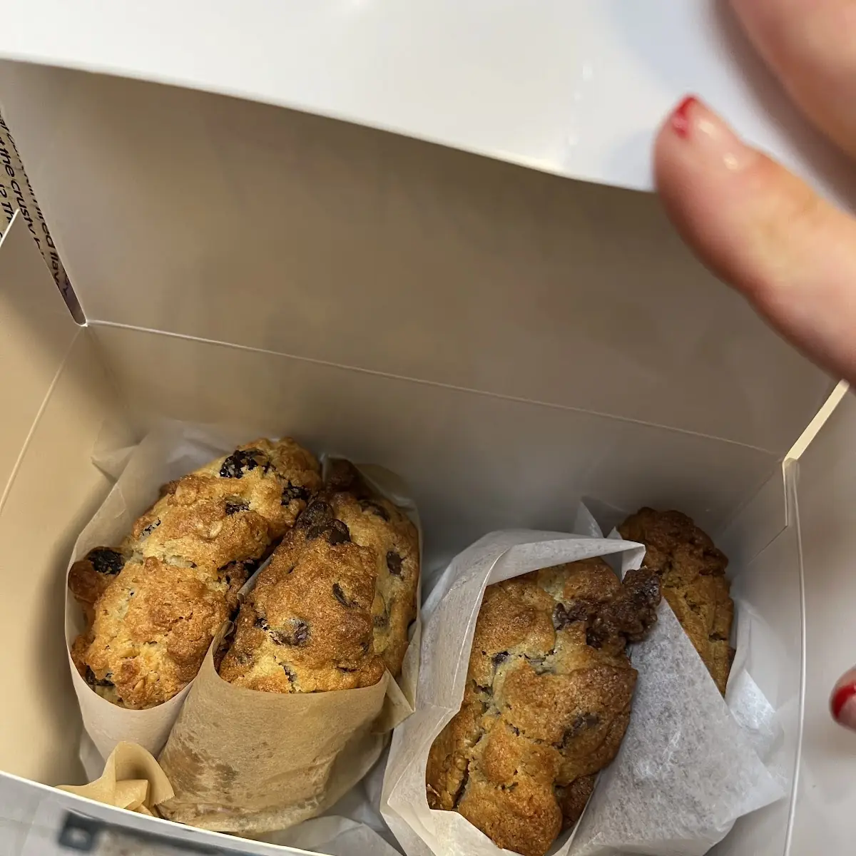 Levain Take Away Bags