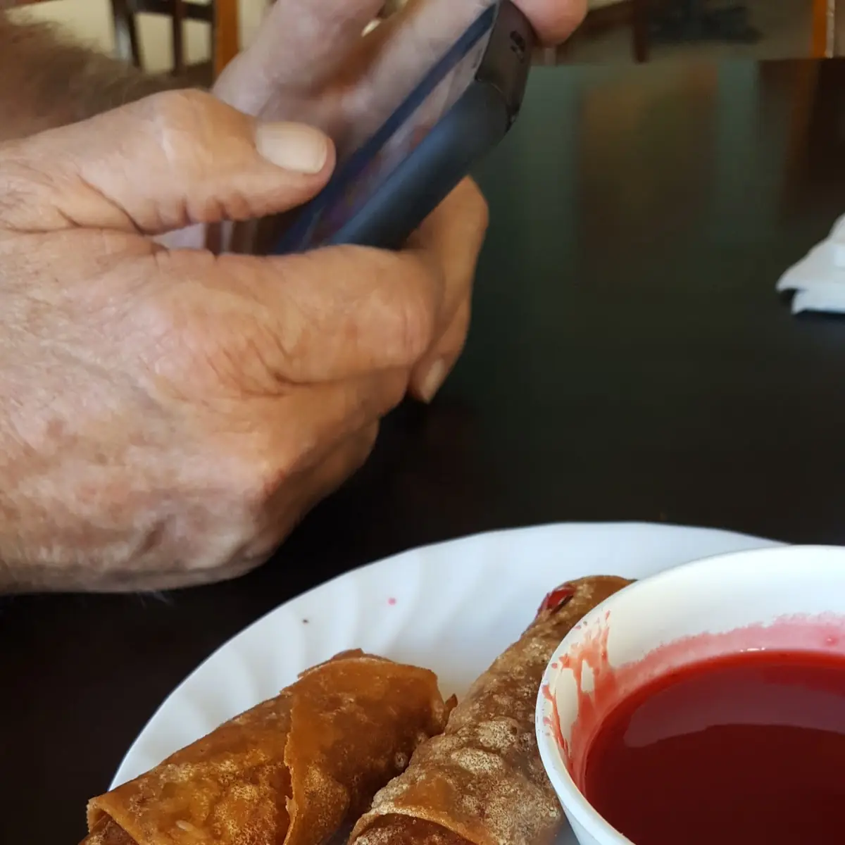 Spring Rolls