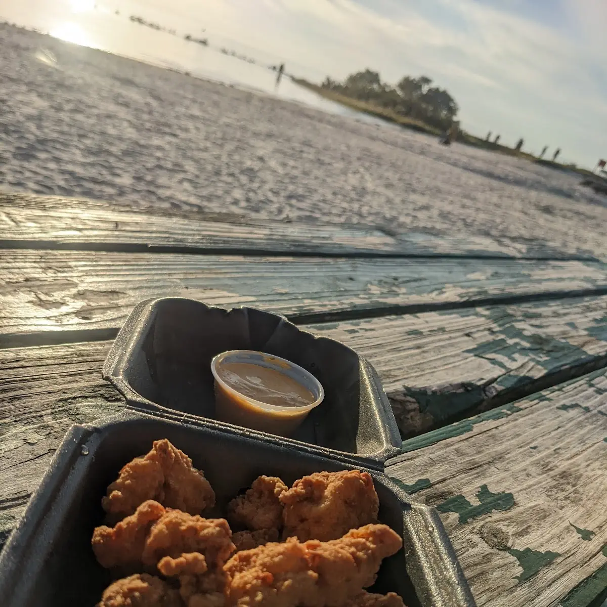 Gator Bites