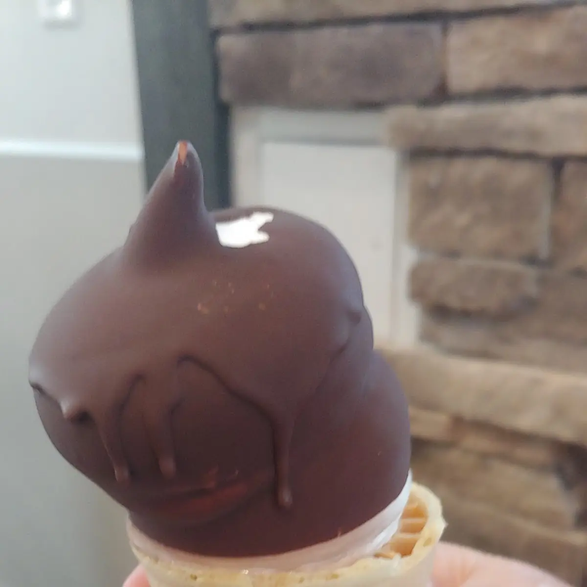 Chocolate Dipped Cones