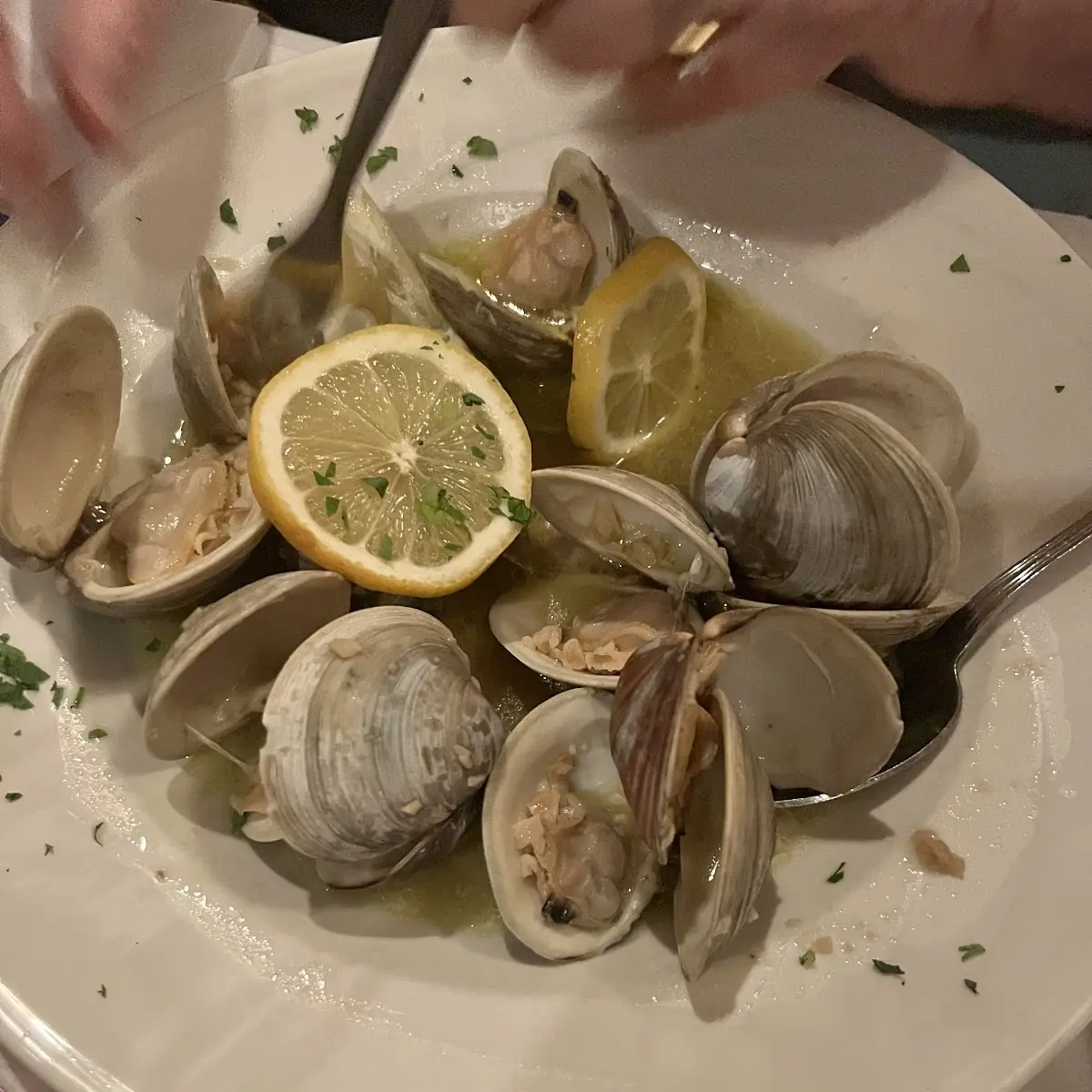 Steamed Clams