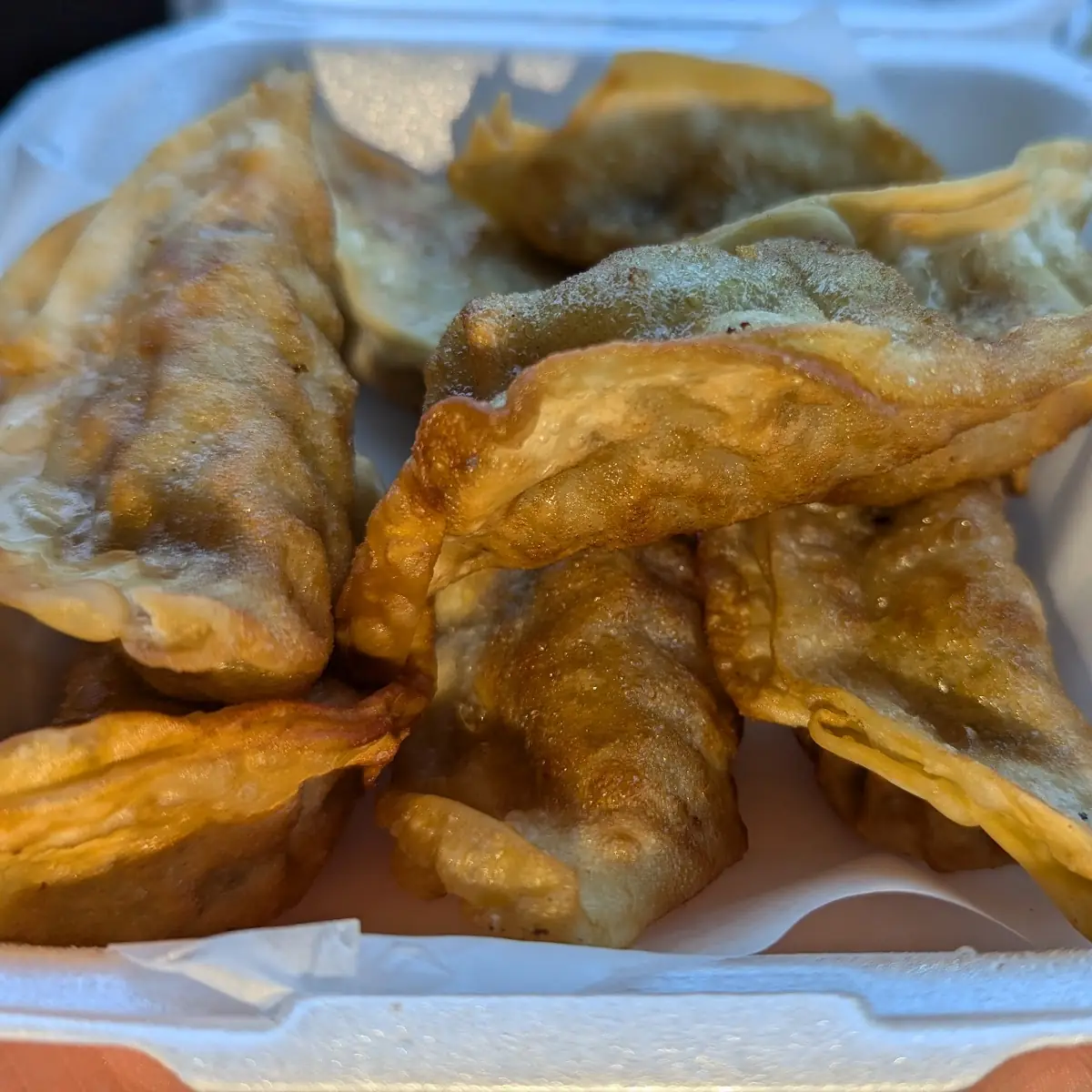 Gyoza