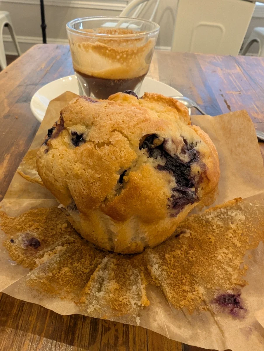 Blueberry Muffin