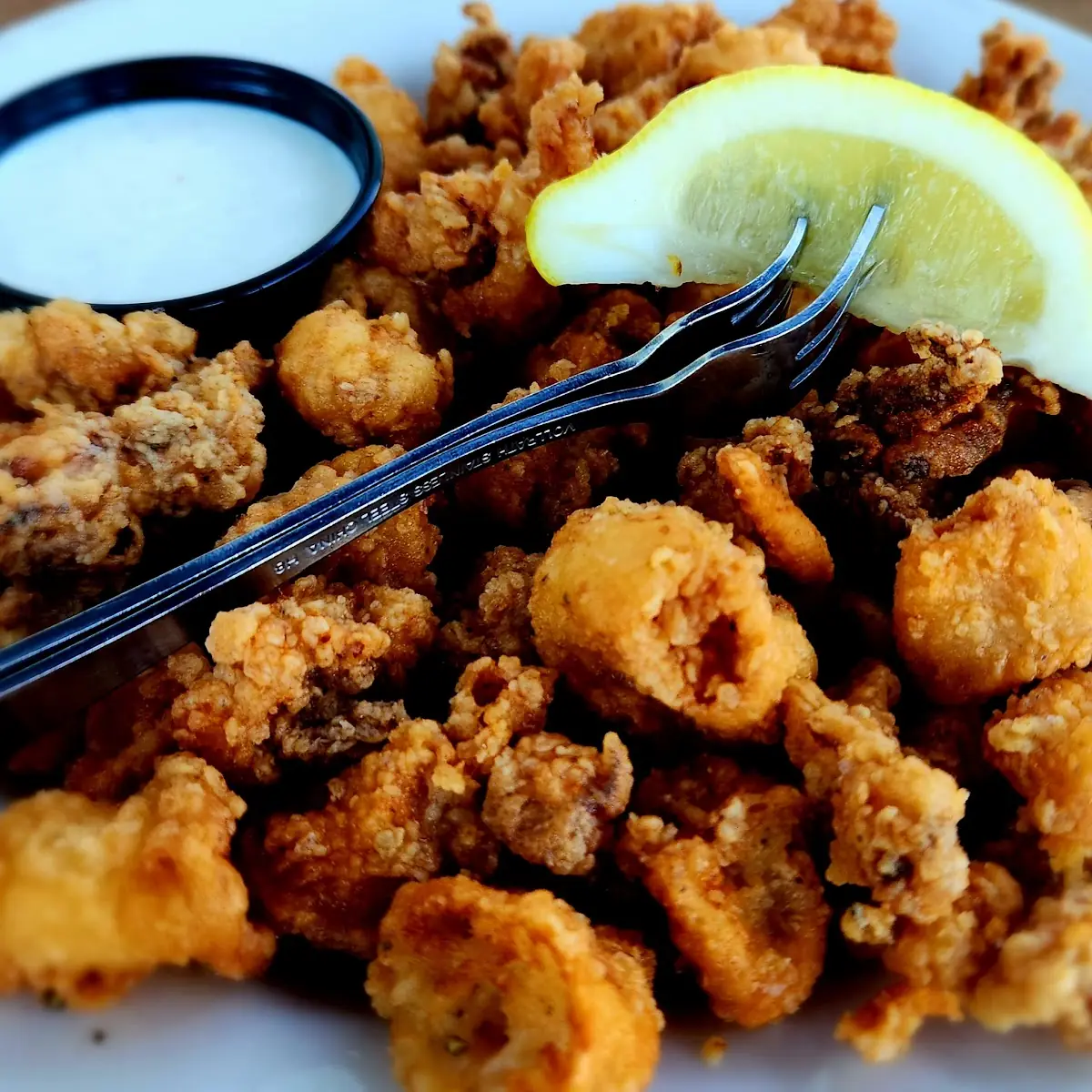 Fried Calamari