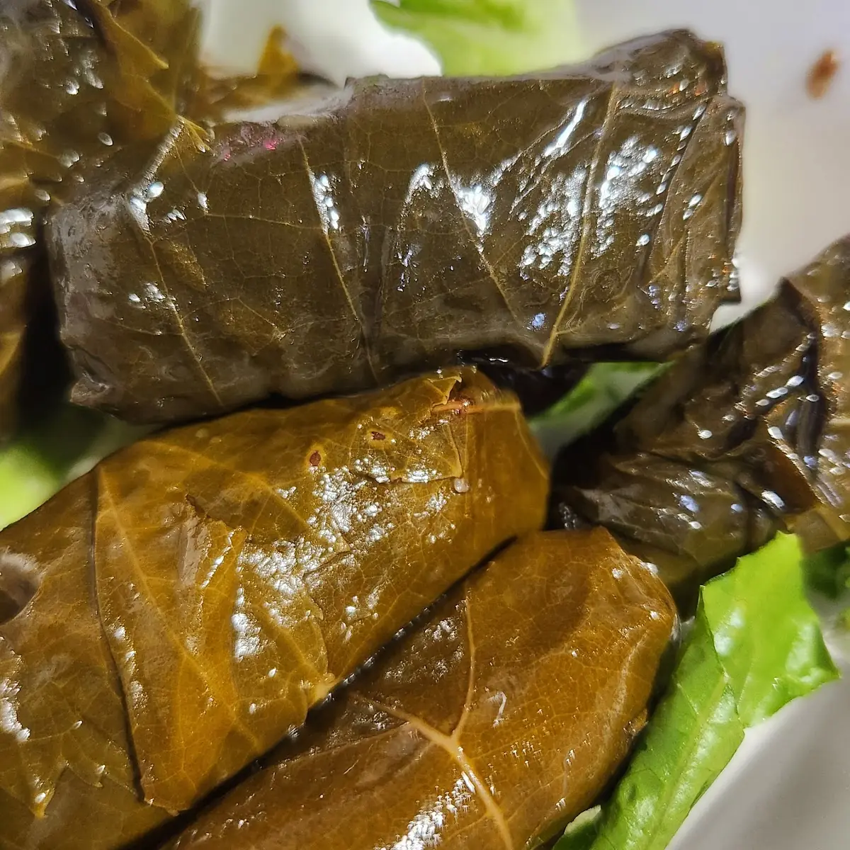 Grape Leaves