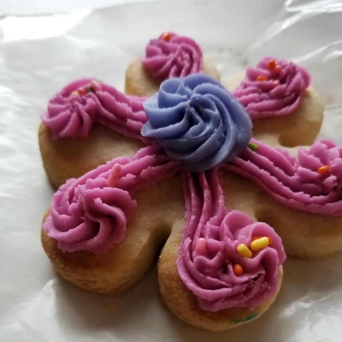 Sugar Cookie