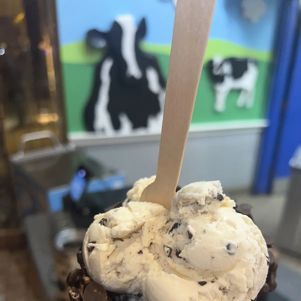 Chocolate Chip Cookie Dough Ice Cream