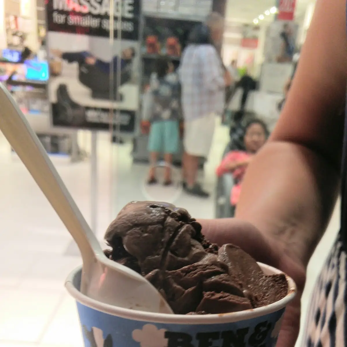 Chocolate Fudge Brownie