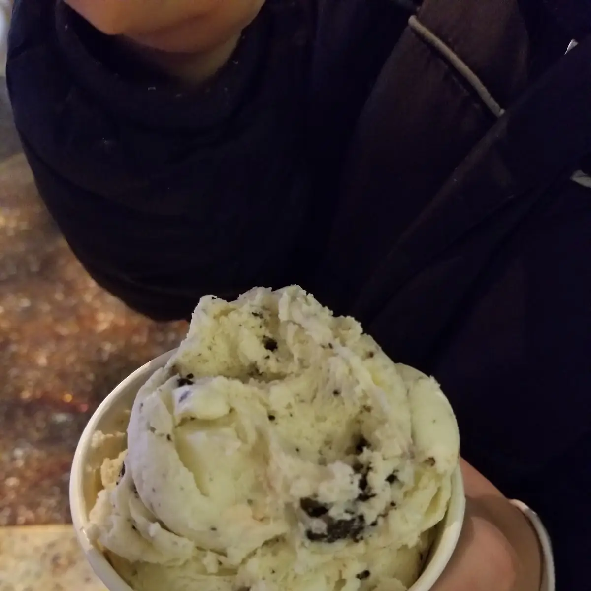 Mint Chocolate Chip Cookie Dough