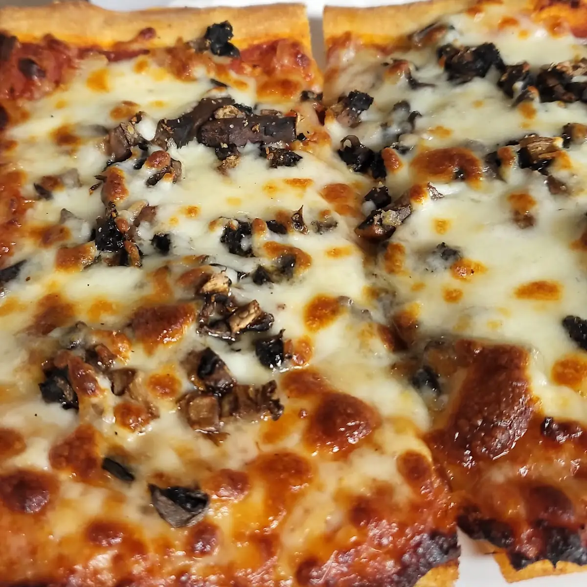 Mushrooms Pizza