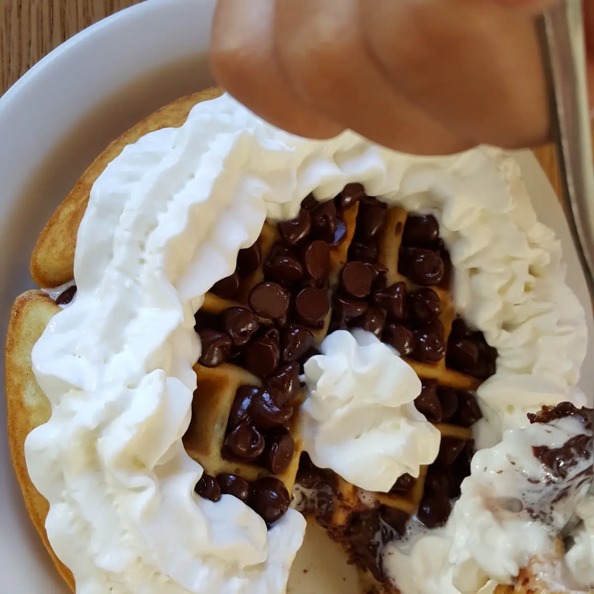 Chocolate Chip Belgian Waffle
