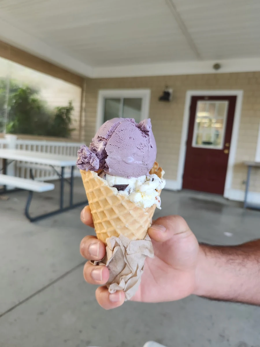 Black Raspberry and Coconut Almond Joy on a Waffle Cone