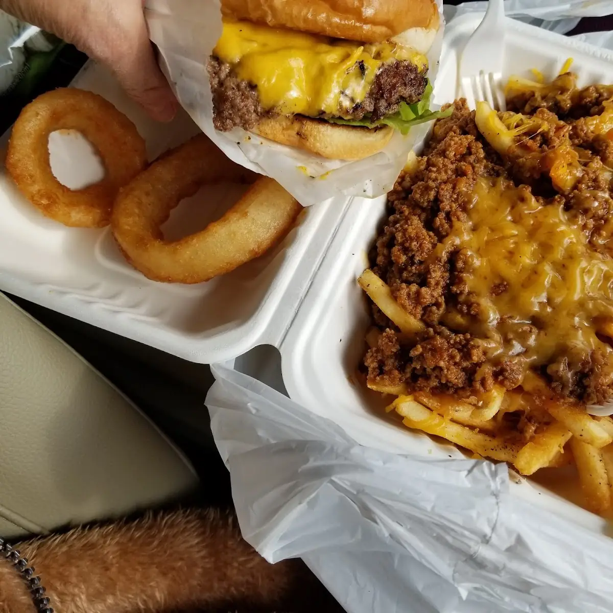 Chili Cheese Fries