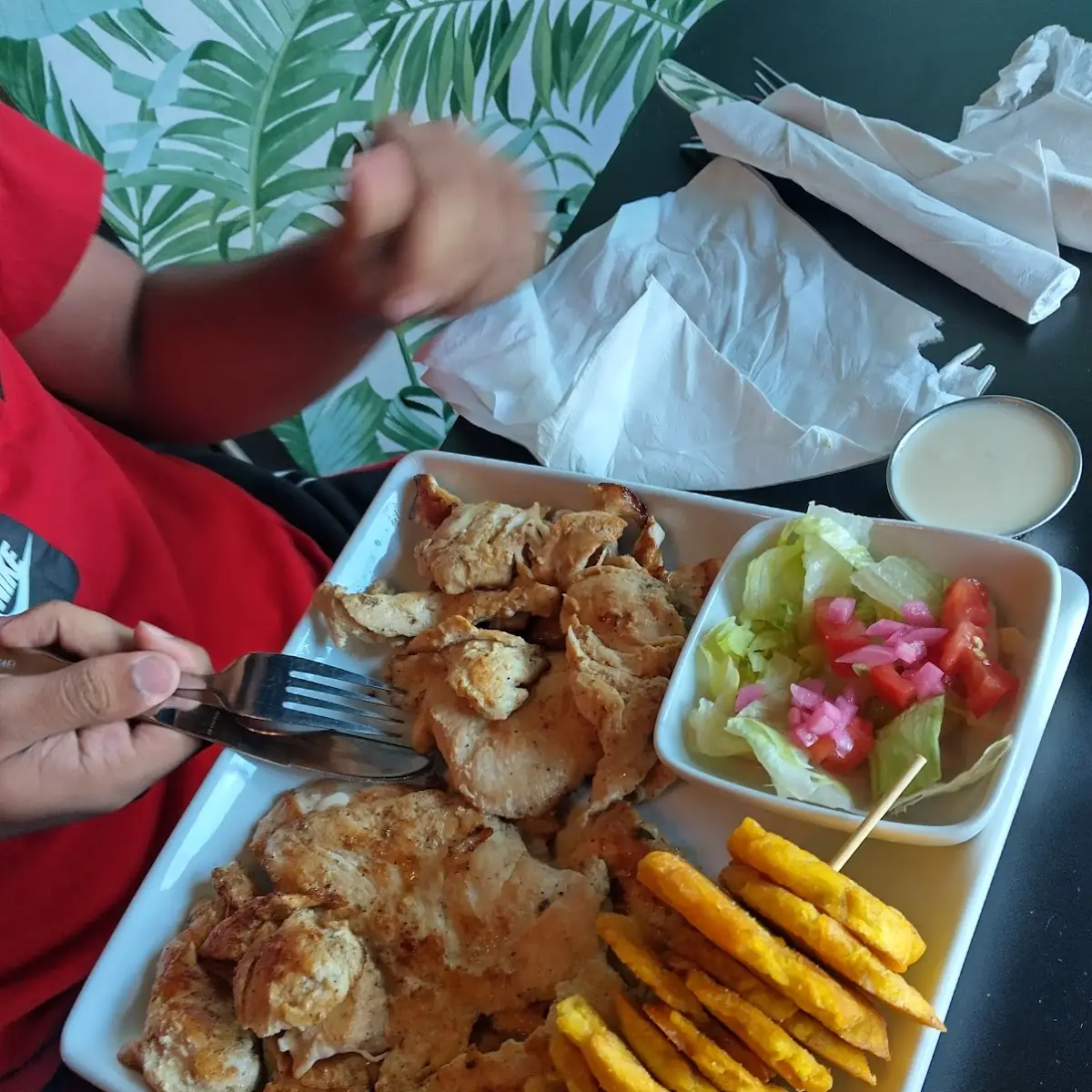 Grilled Chicken with Fries
