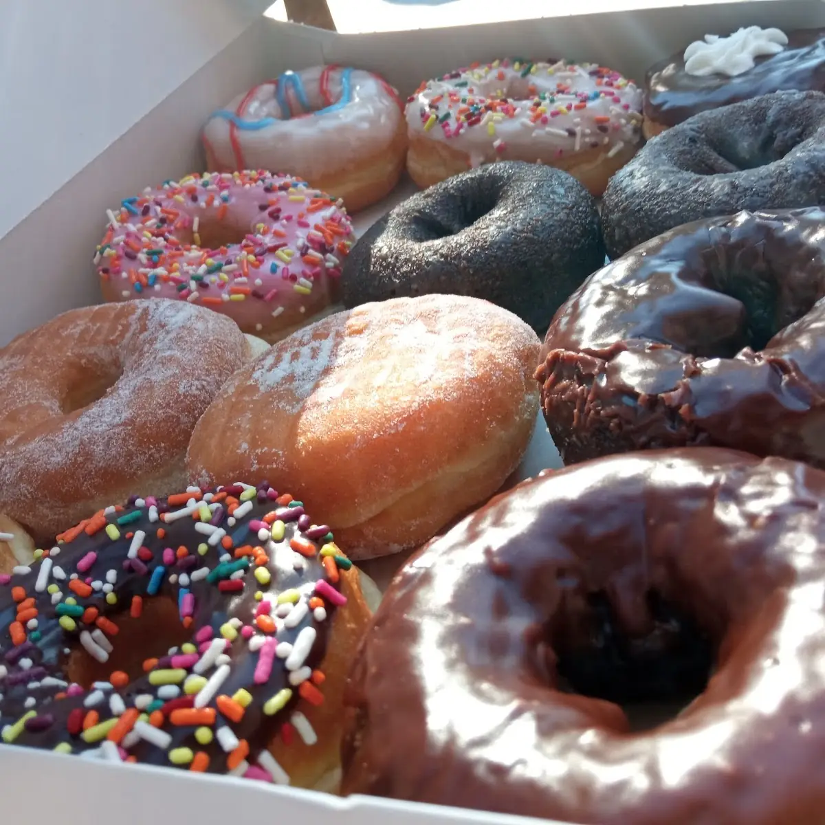 Doughnut