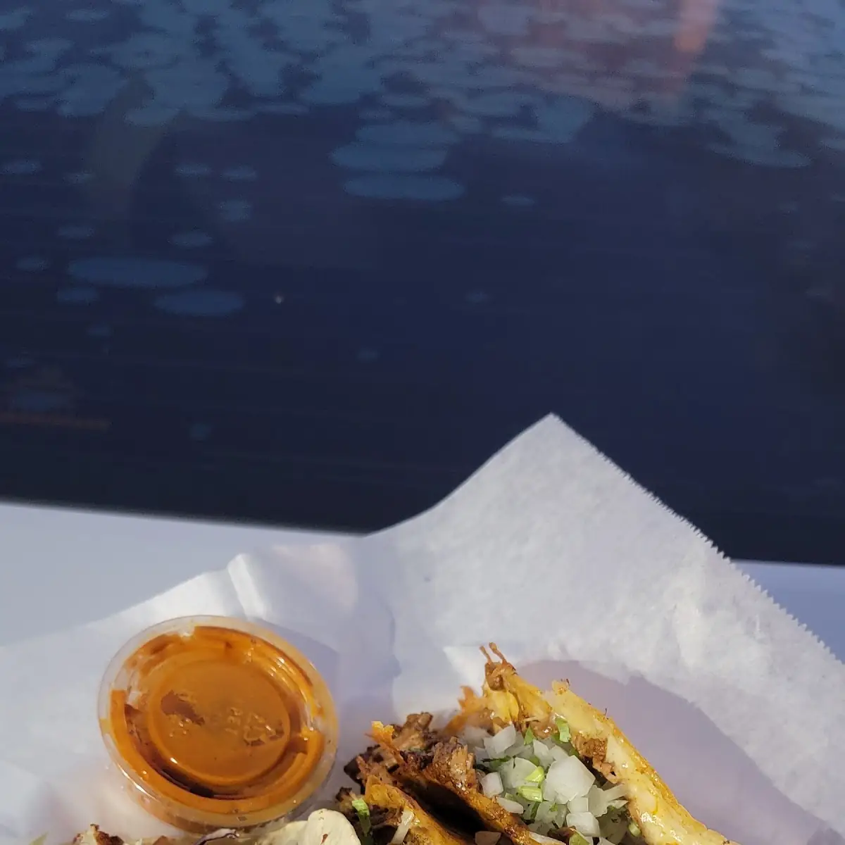 Birria Tacos and Fish Tacos