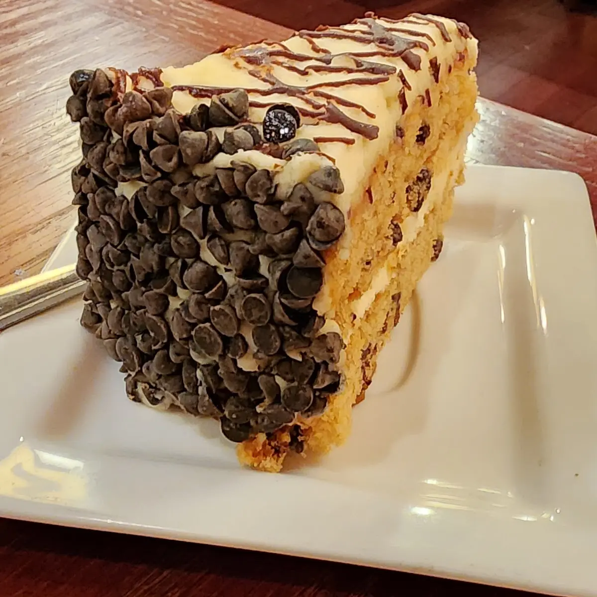 Chocolate Chip Cake Slice