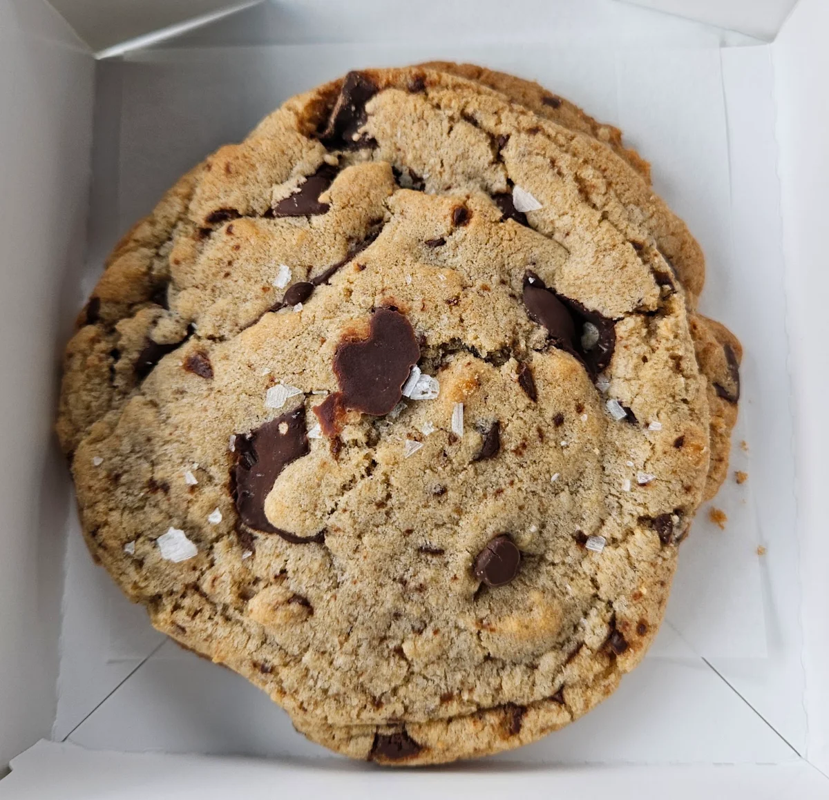 Chocolate Chip Cookie