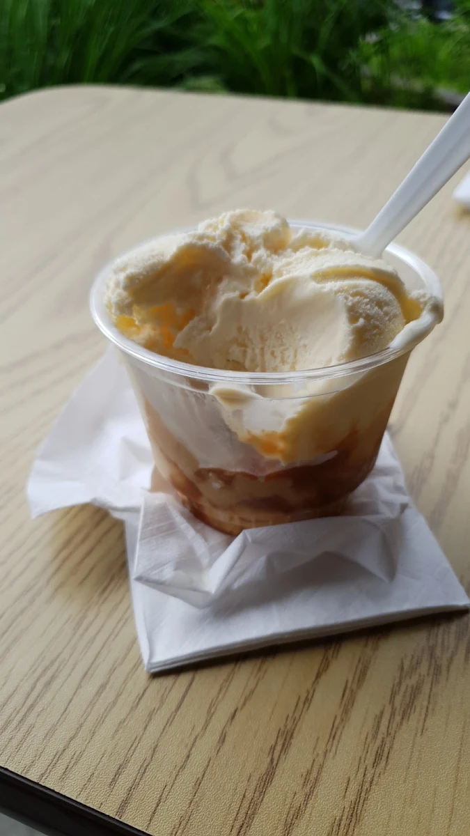 Vanilla Bean