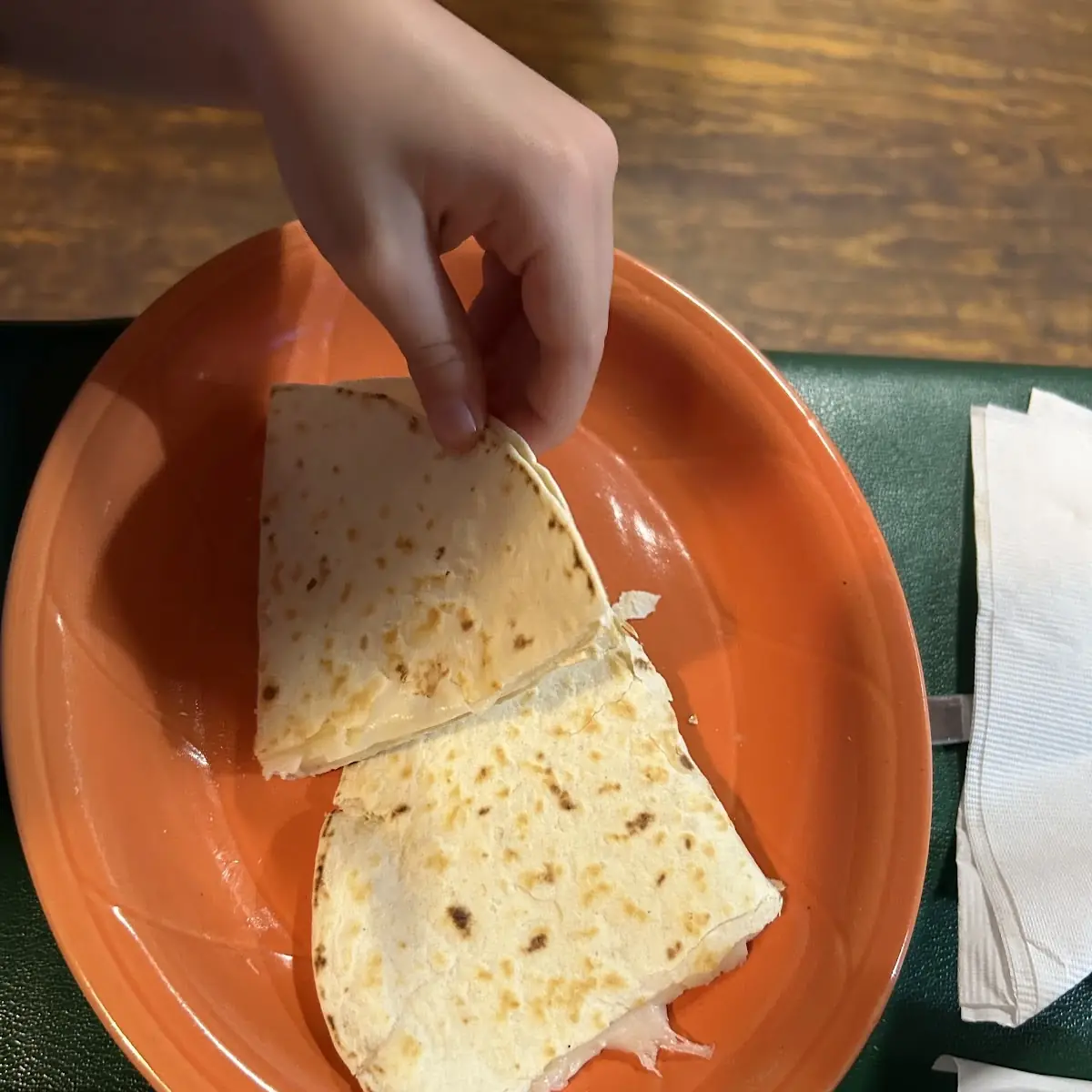 Plain Quesadilla
