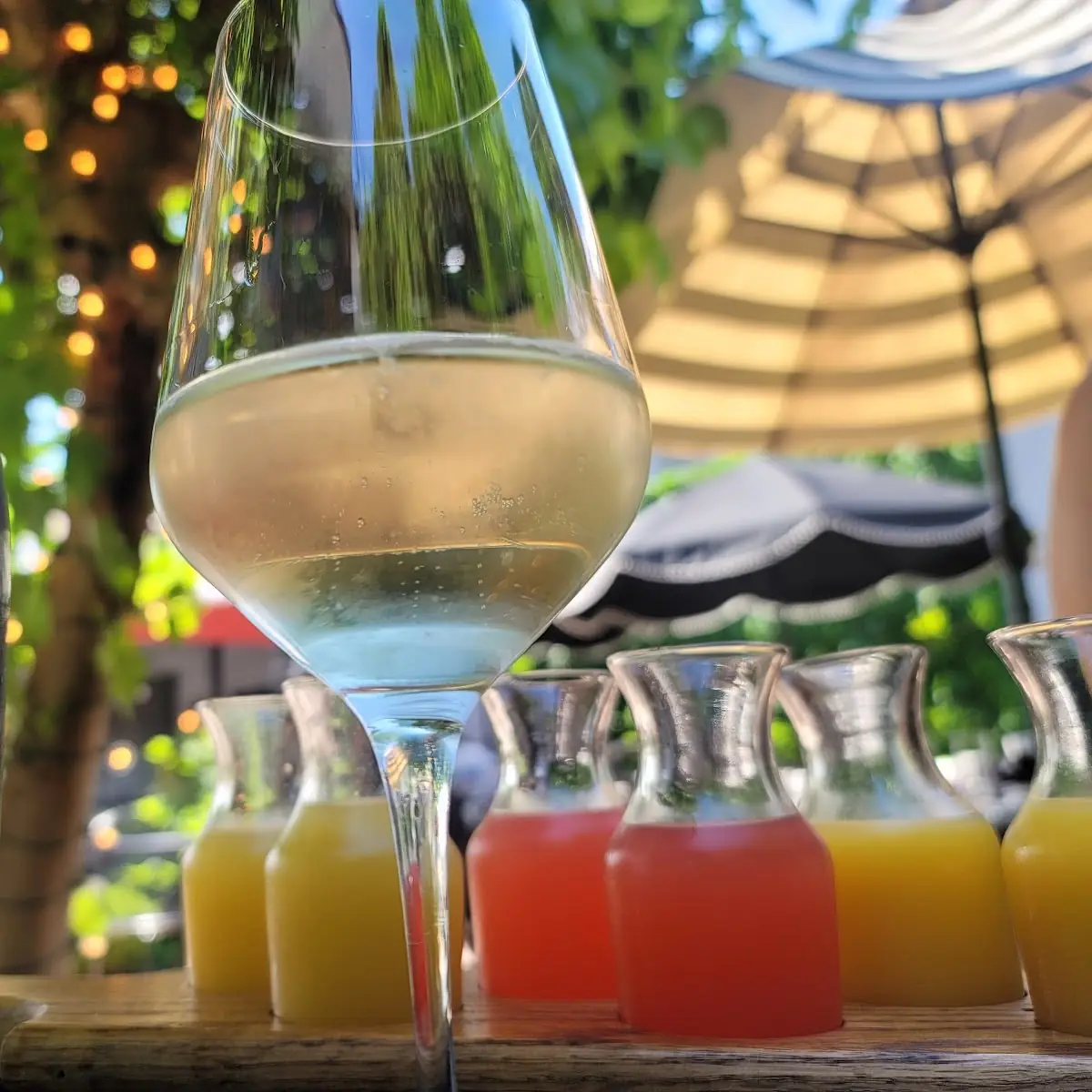Mimosa Flight