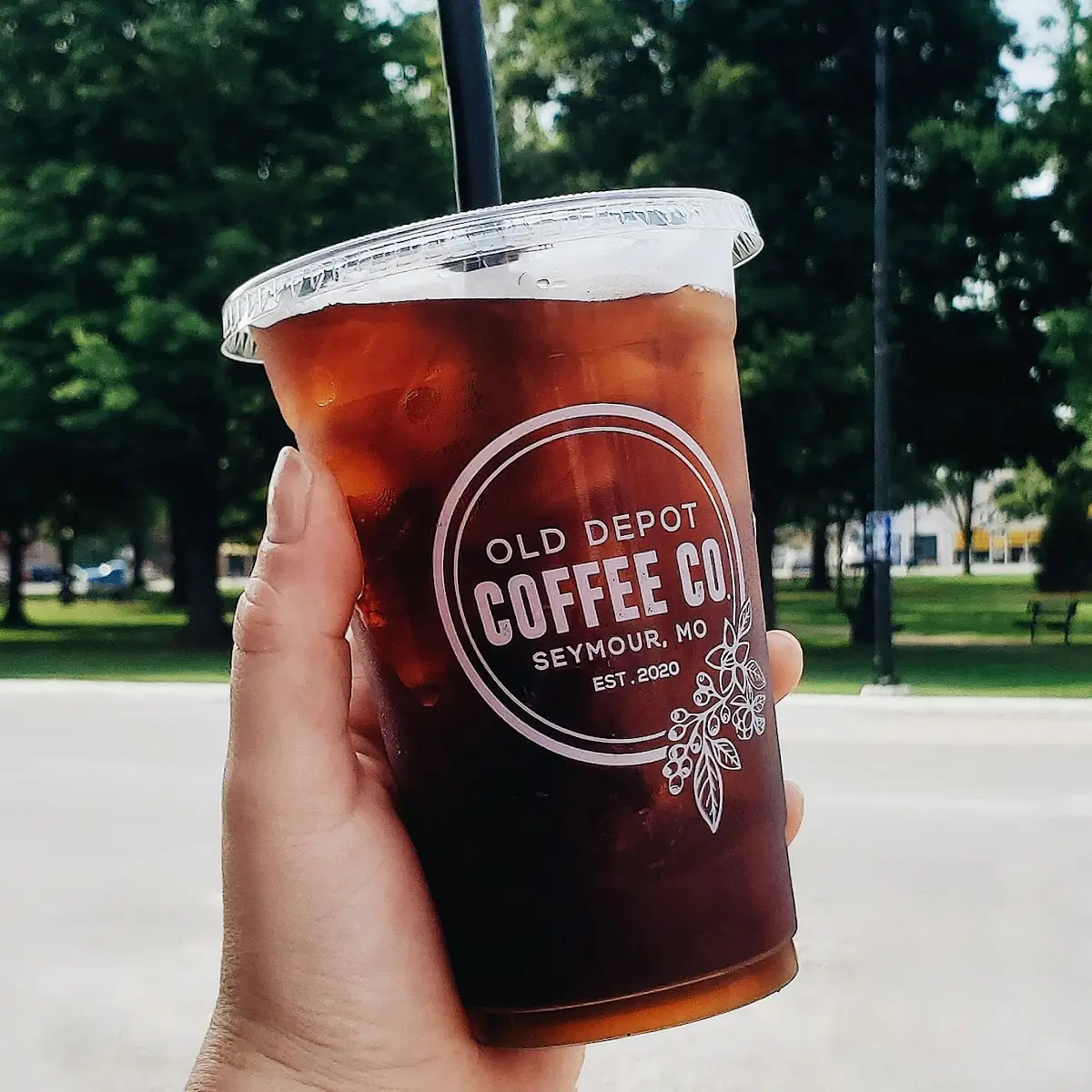 Cold Brew Coffee