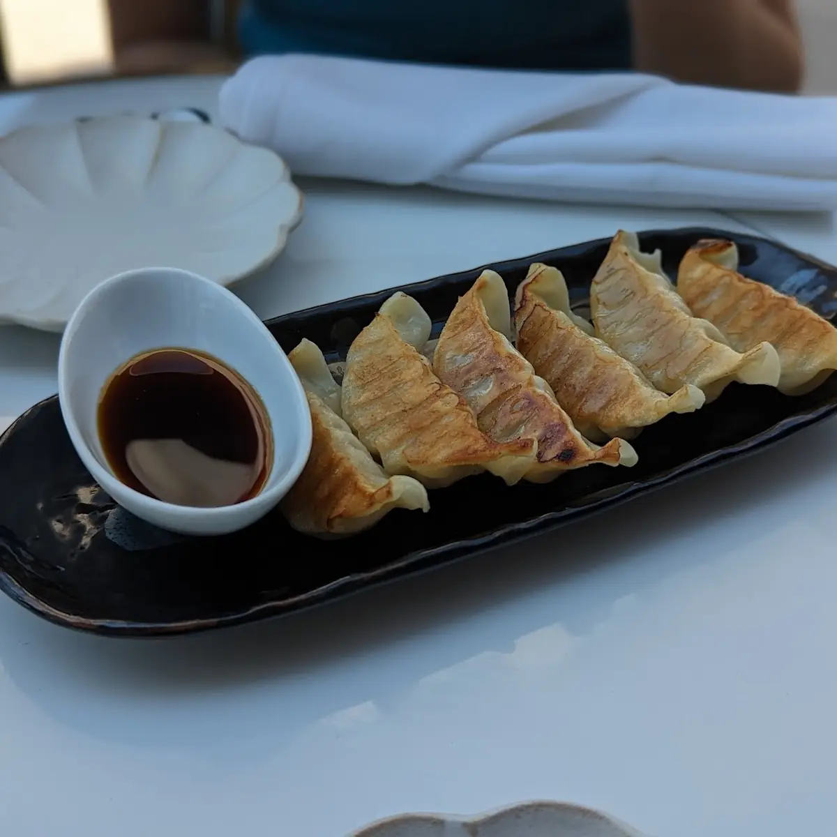 Pan Fried Gyoza 6