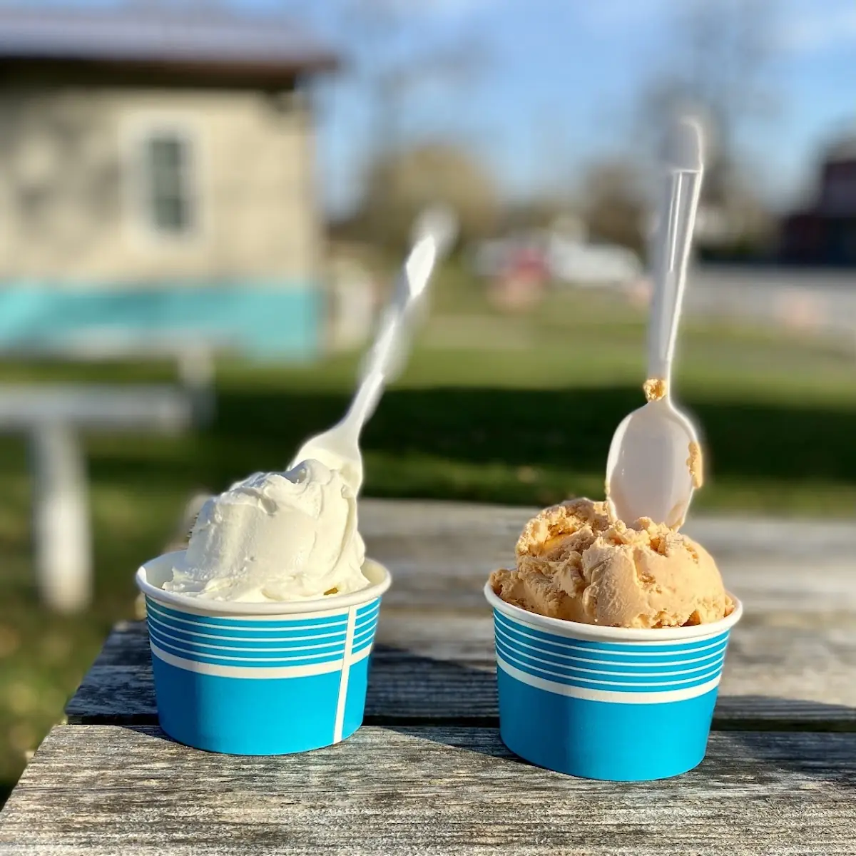 Vanilla Ice Cream and Pumpkin Cheesecake