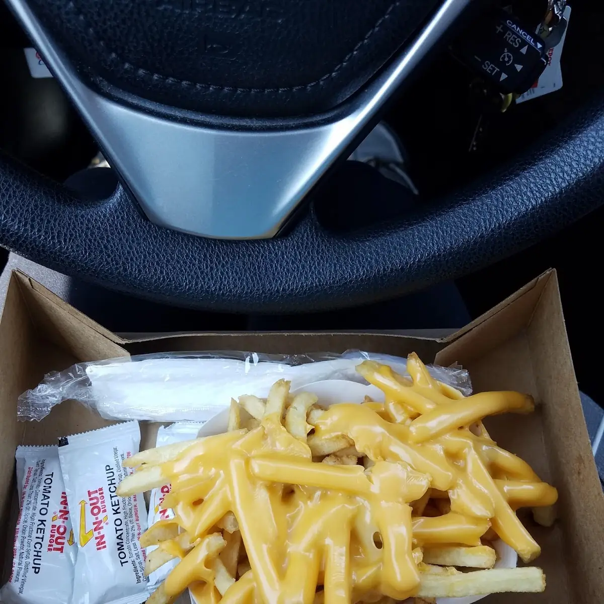 Cheese Fries