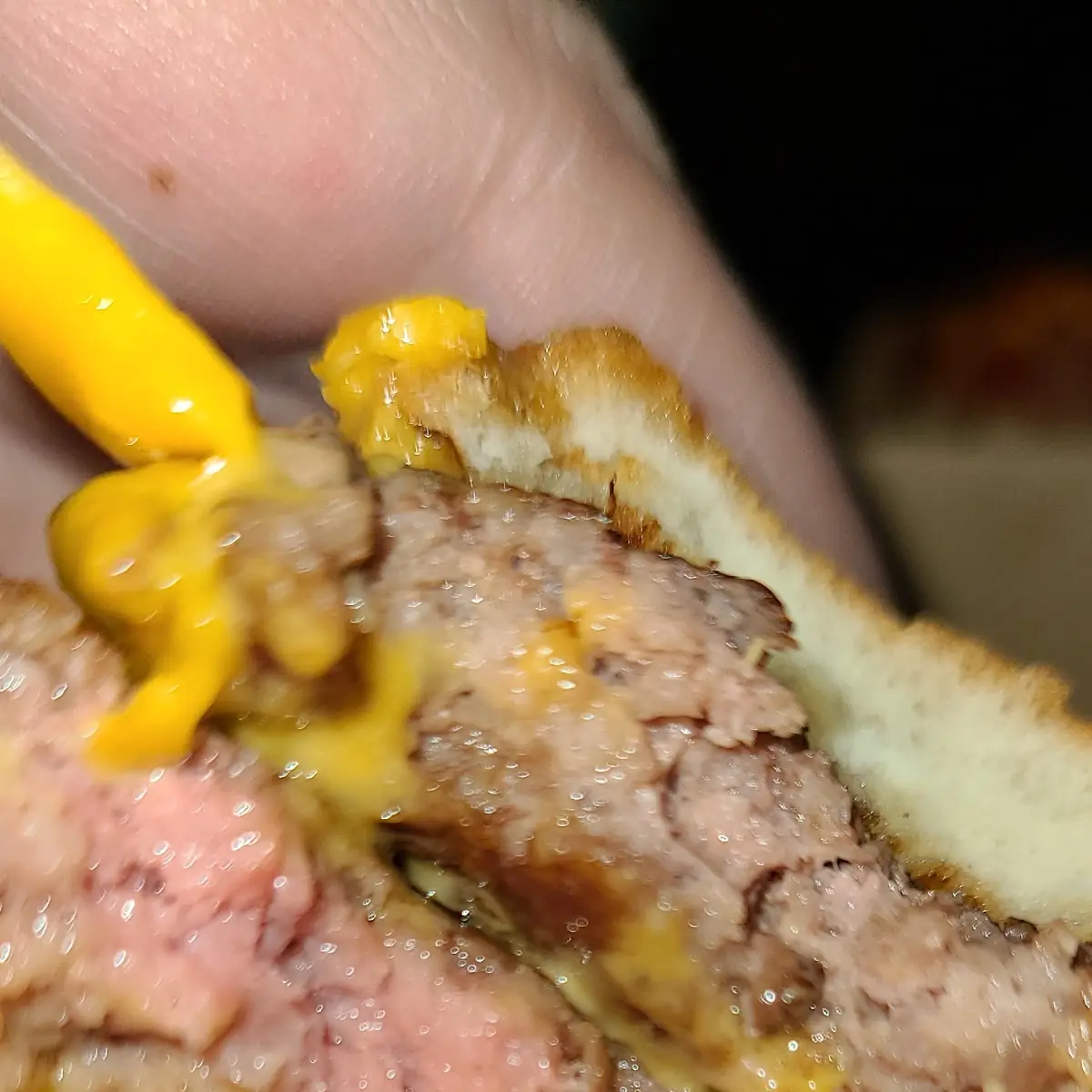 Double Cheeseburger