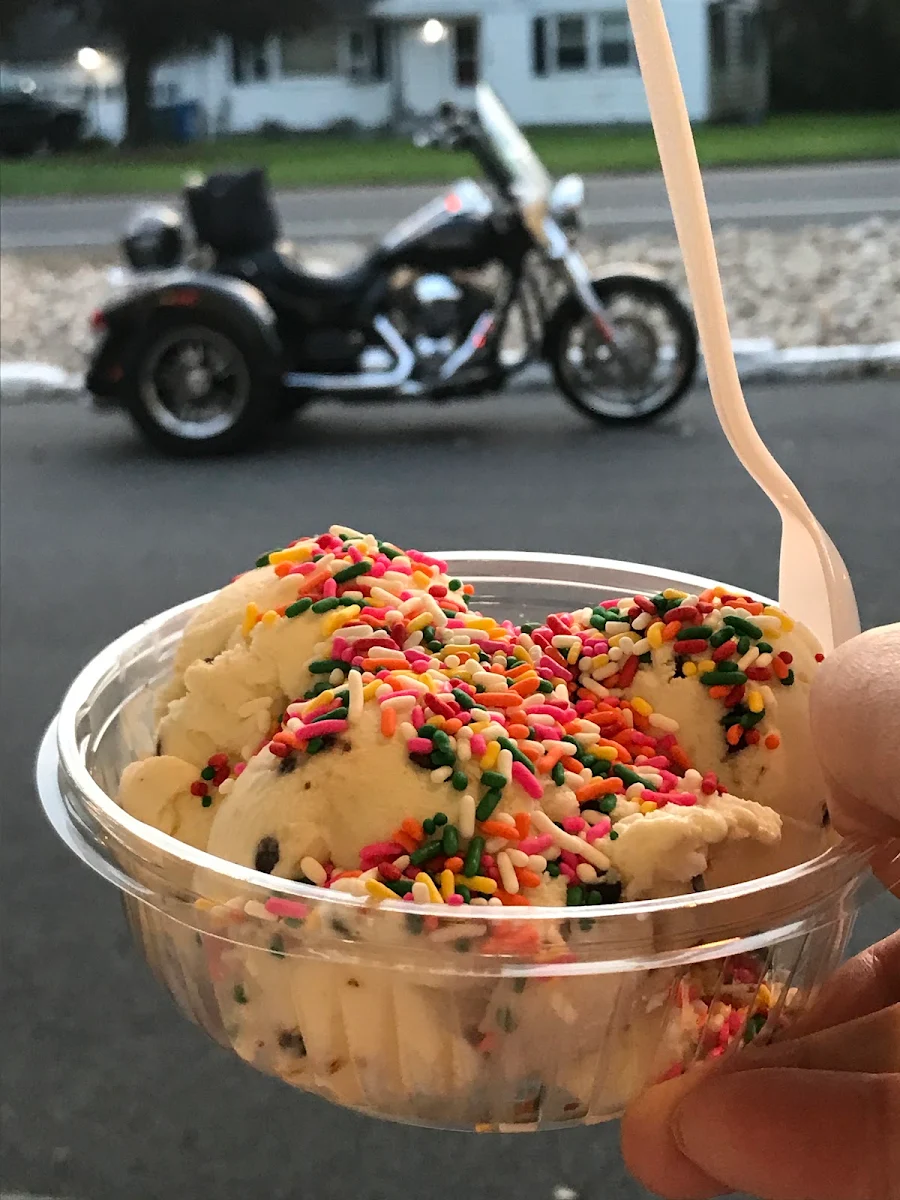 Chocolate Chip Ice Cream