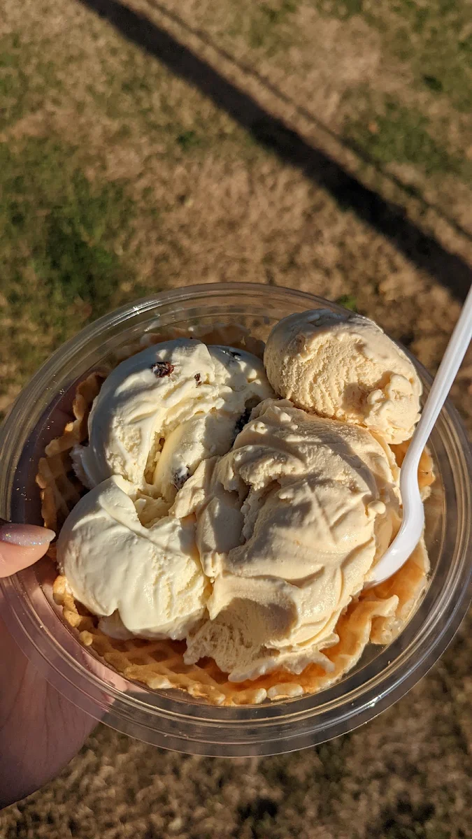 Peanut Butter and Whipped Cream