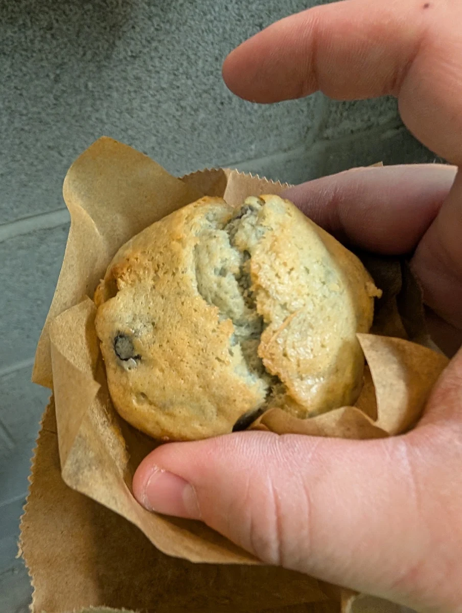 Blueberry Muffin