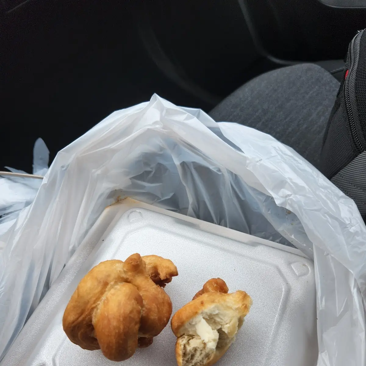Fried Dumplings