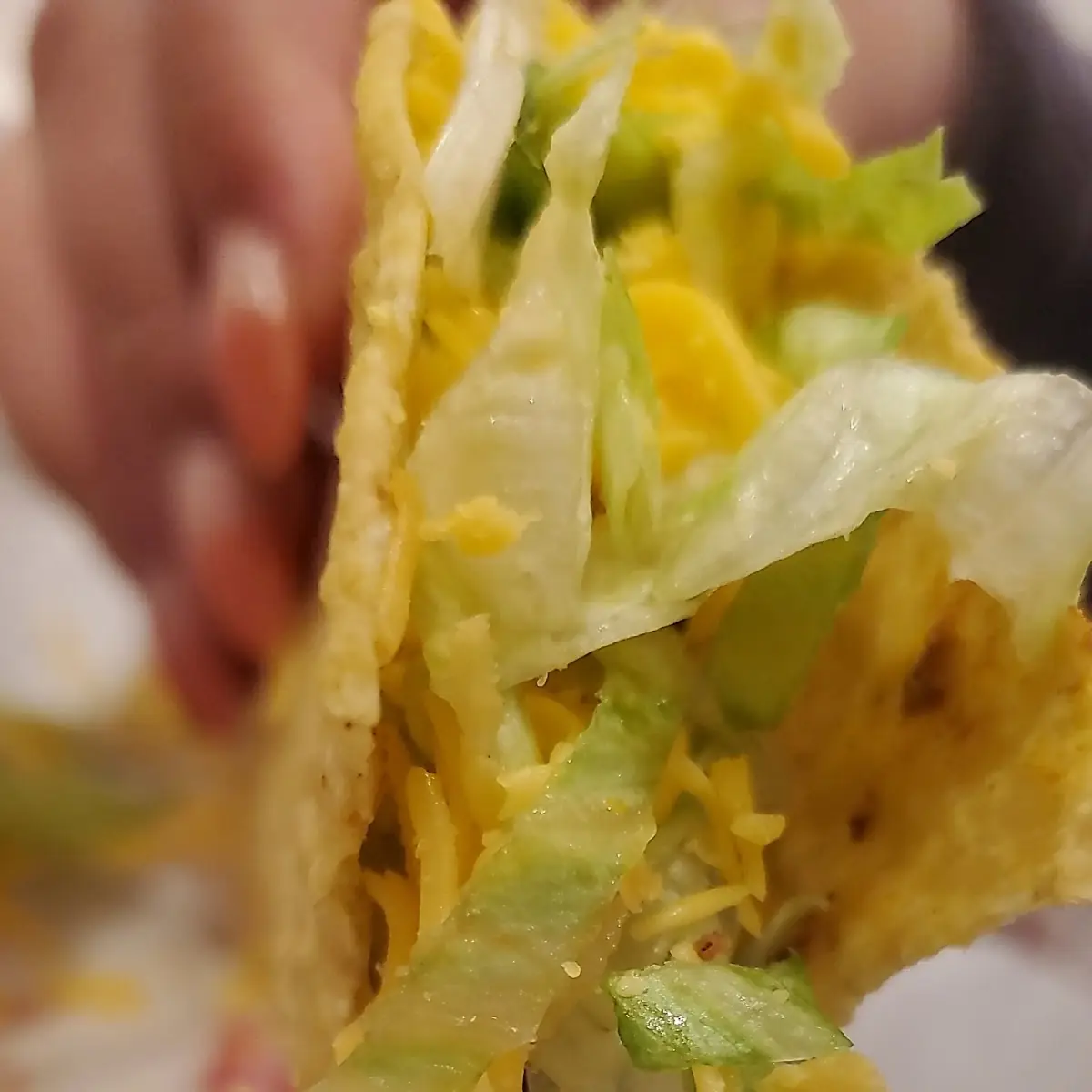 Hard Shell Taco