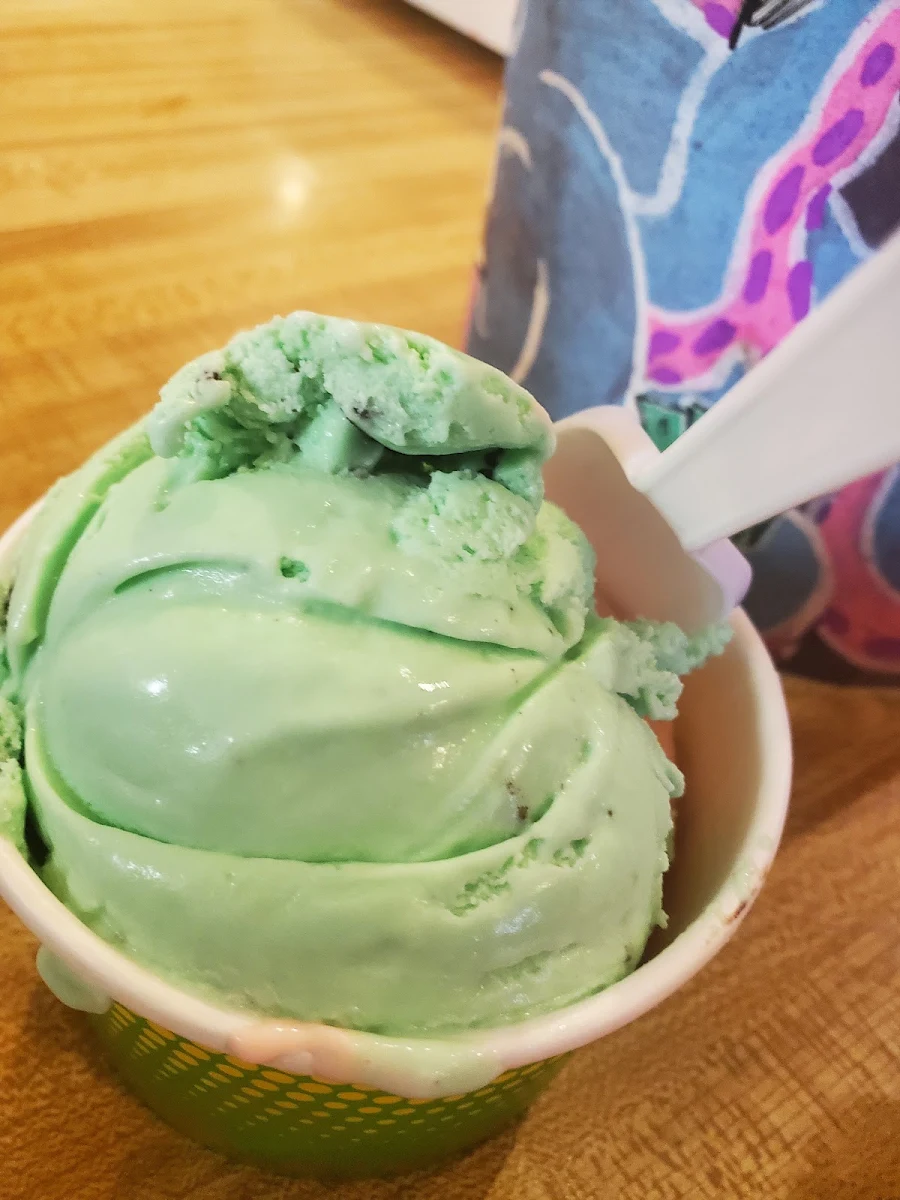 Mint Chocolate Chip
