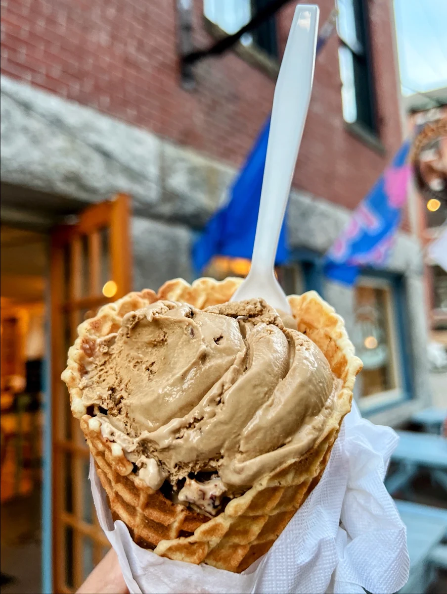 Single Scoop in a Waffle Cone