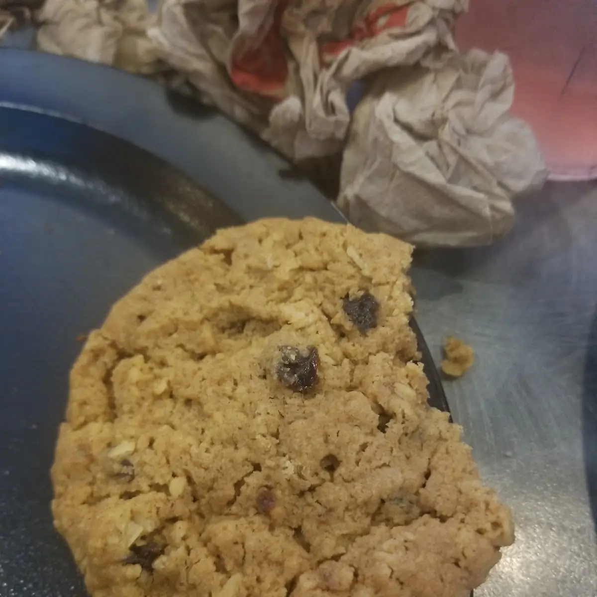 Chocolate Chip