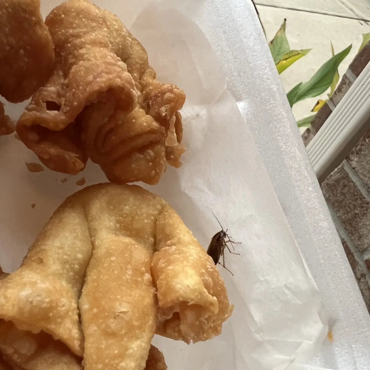 Crab Rangoon 8