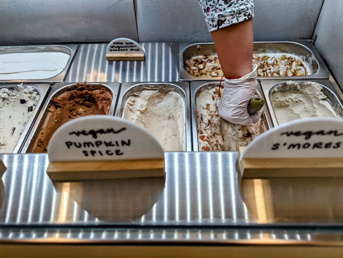 Vegan Ice Cream Flavors