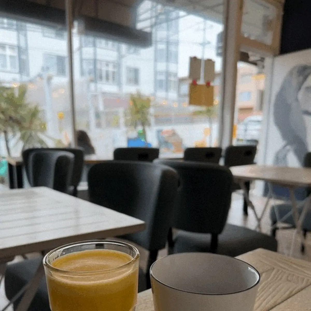 Freshly-Squeezed Orange Juice