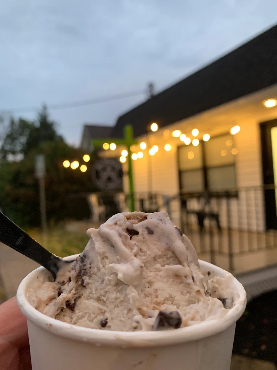 Banana Chocolate Chip Ice Cream