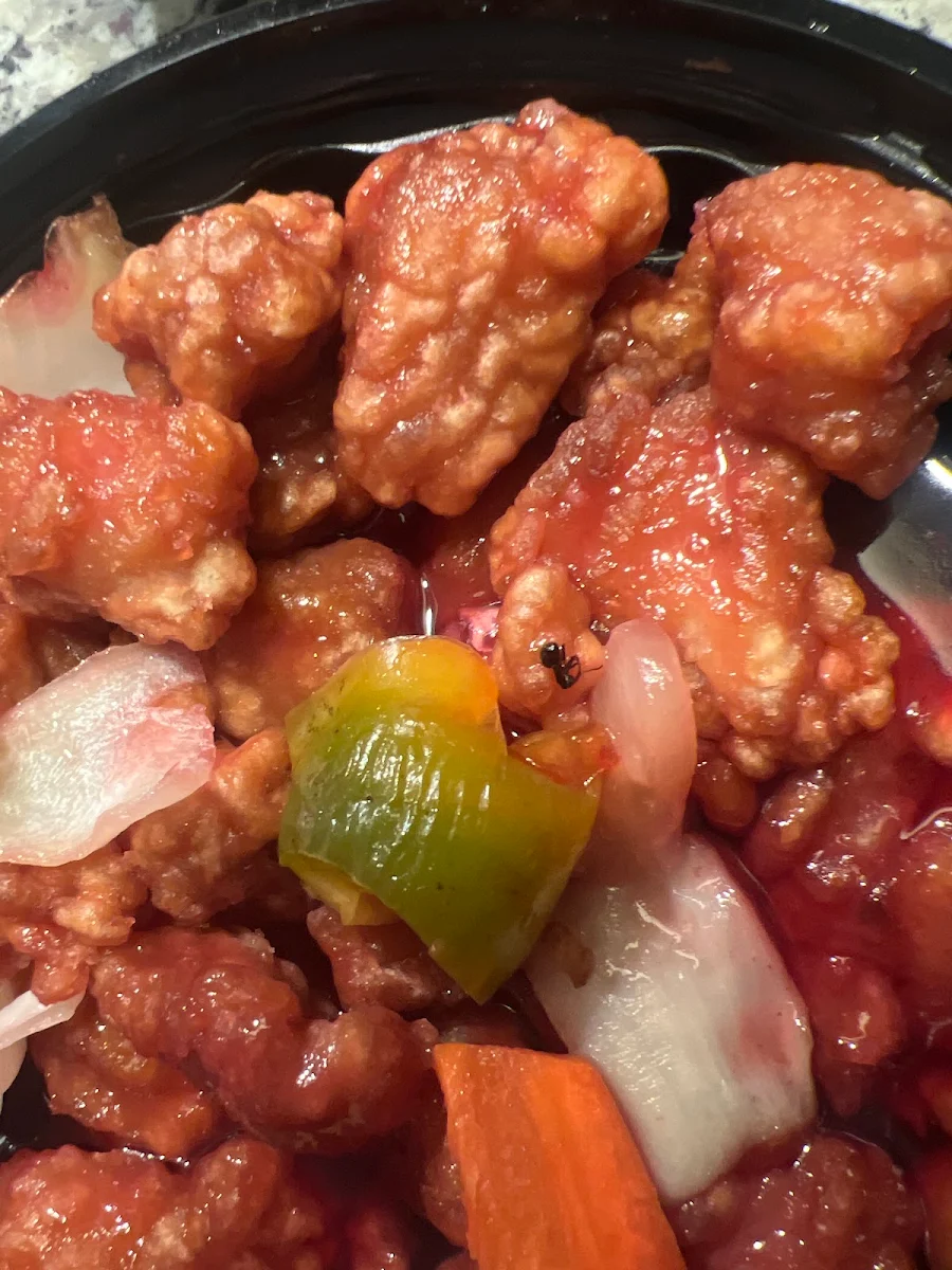 Single Set Meal Sweet and Sour Pork on Rice Diet Coke, Spirit Bistro 豐味
