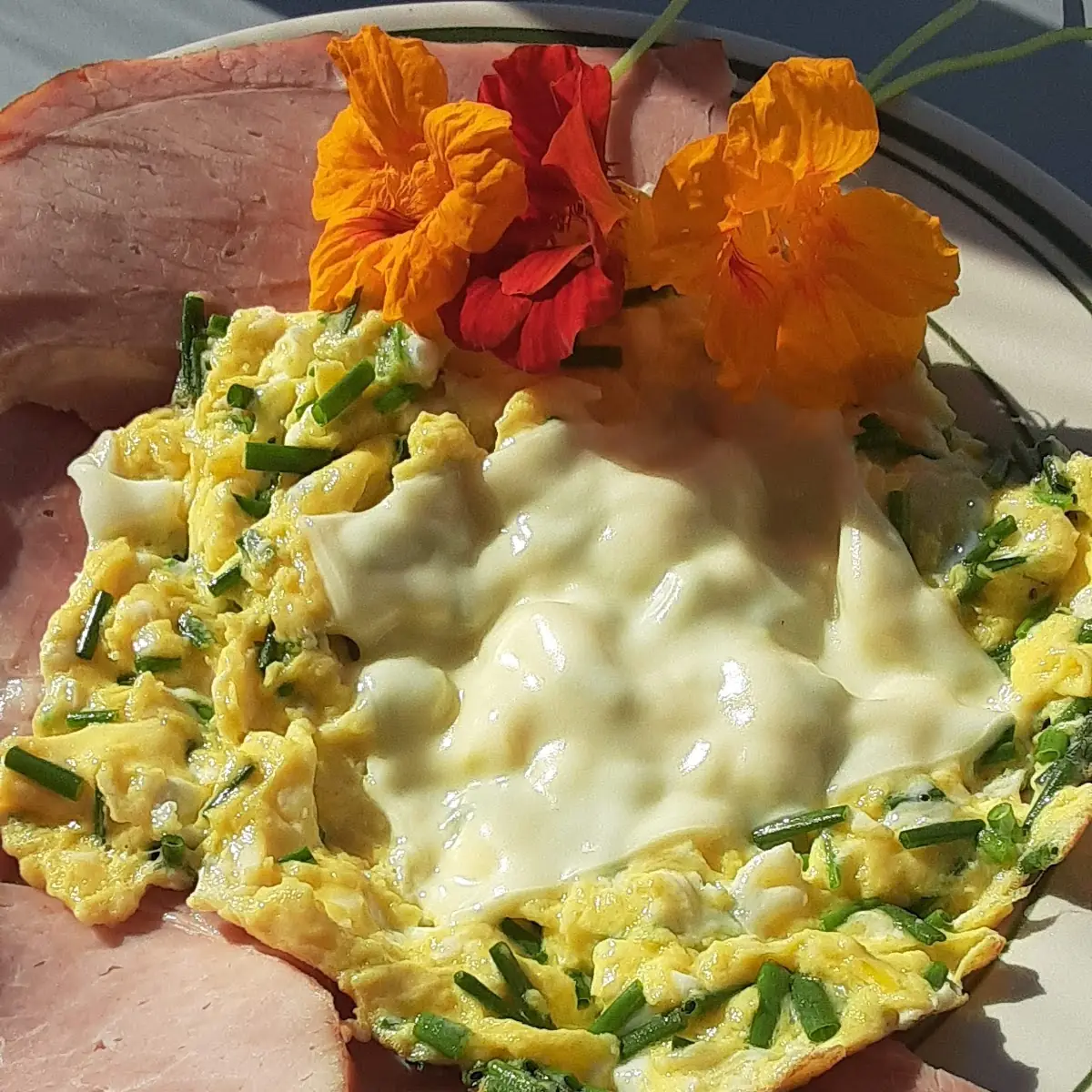 Scrambled Eggs
