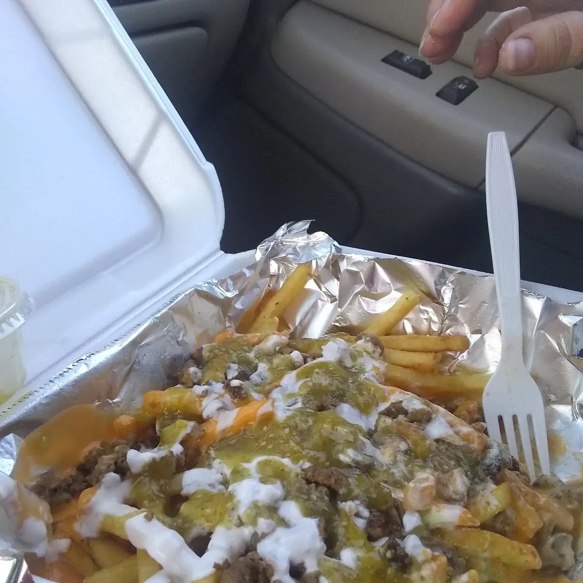 Asada Fries