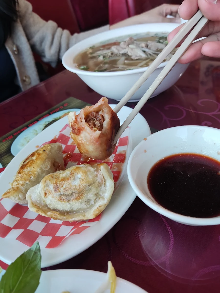 Dumplings, Vietnam Palace Grill & Noodle House