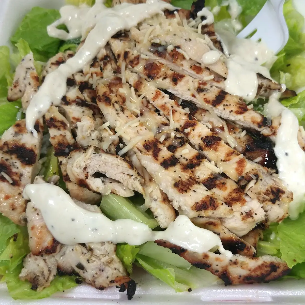 Chicken Salad